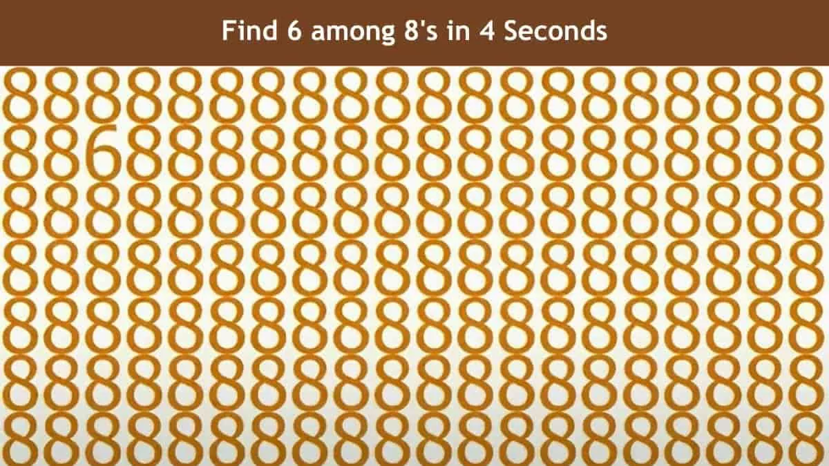 Seek and Find Puzzle: Find 6 among 8's in 4 seconds