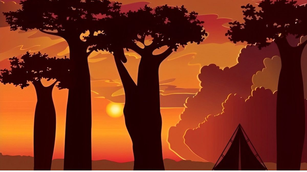 Optical Illusions: You have the IQ of Einstein if you can spot a giraffe in Savannah in 7 seconds!