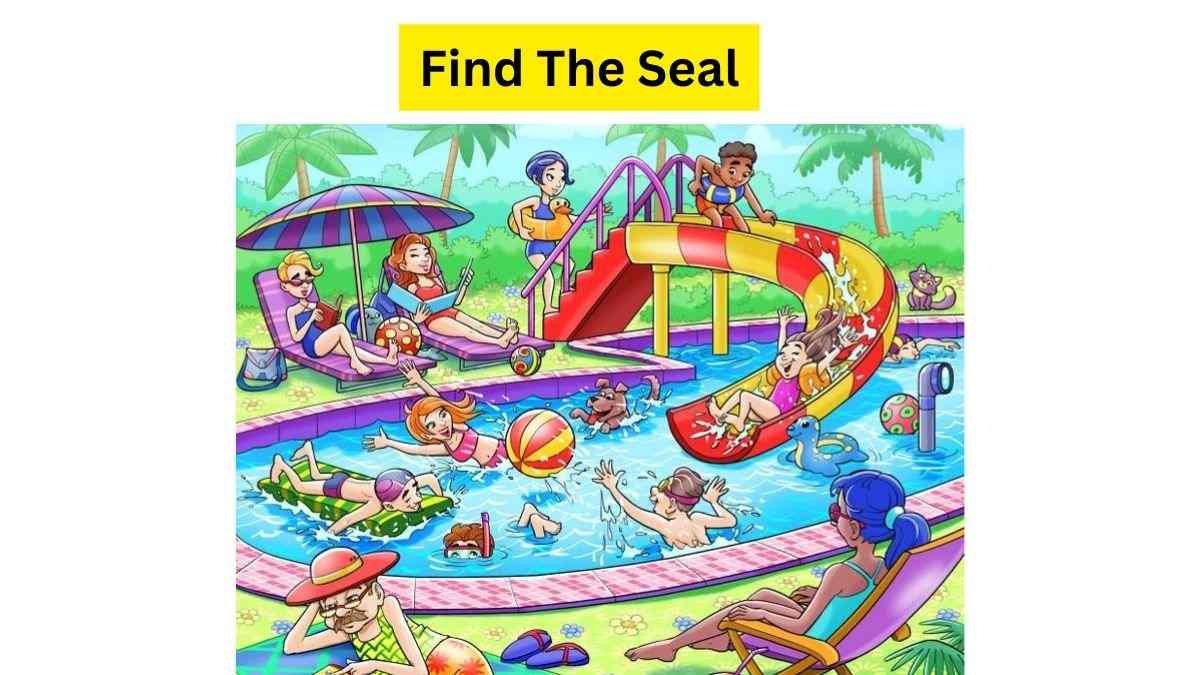 3 Seconds Brain Teaser Game: Can You Find The Seal Escaped From The Zoo In The Water Park? Try Your Skills!