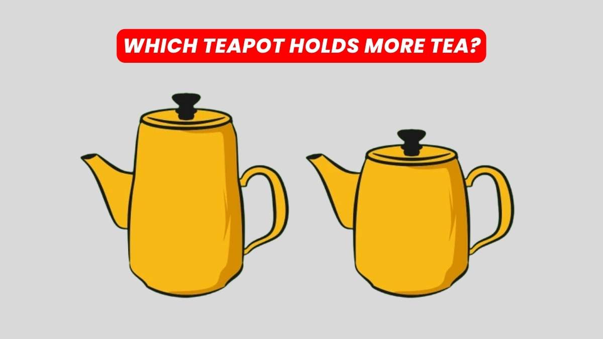 Guess which teapot holds more tea in this brain twister puzzle? You have 9 seconds!