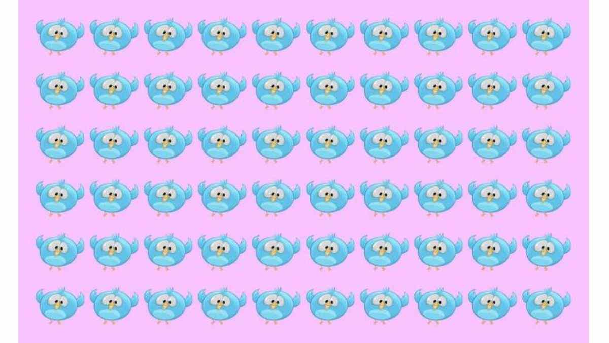 Do you see any odd bird here?