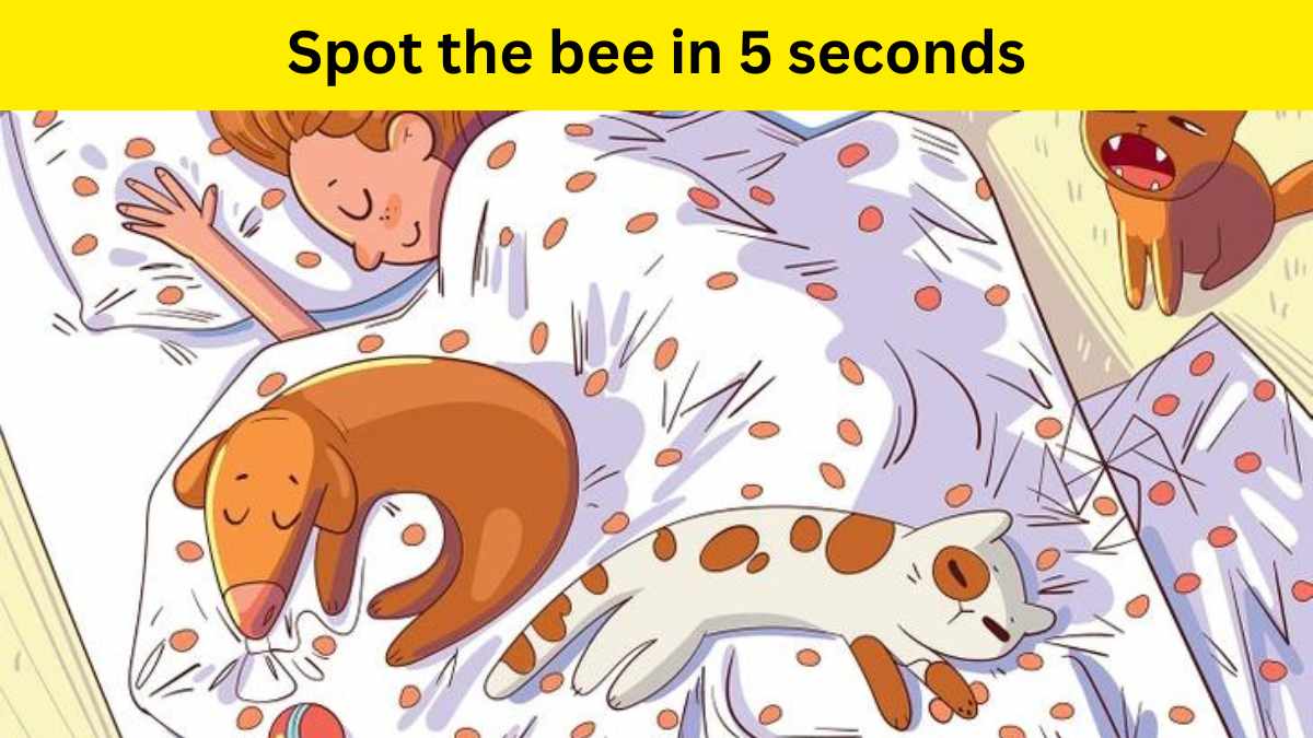 Brain Teaser IQ Test: Find The Hidden Bee In 5 Seconds