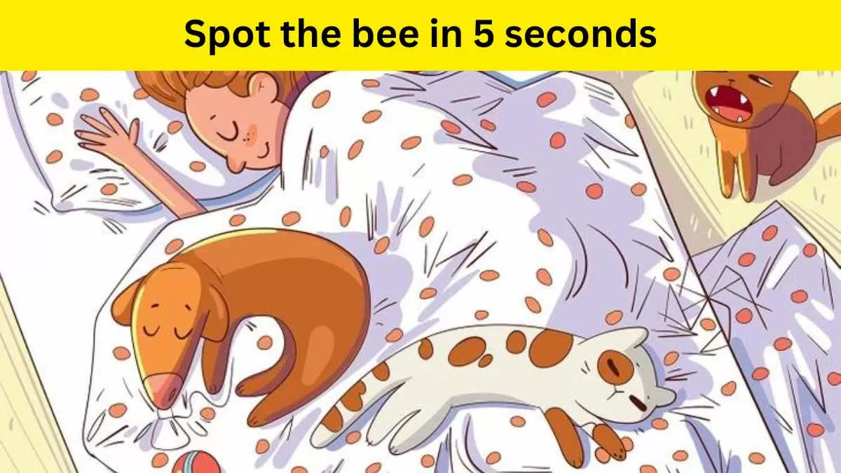 Brain Teaser IQ Test: Find The Hidden Bee In 5 Seconds