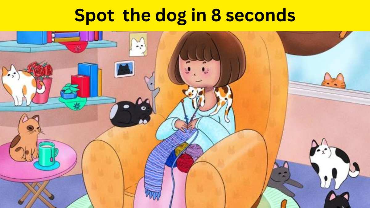 Brain Teaser- Spot the dog hidden among cats   
