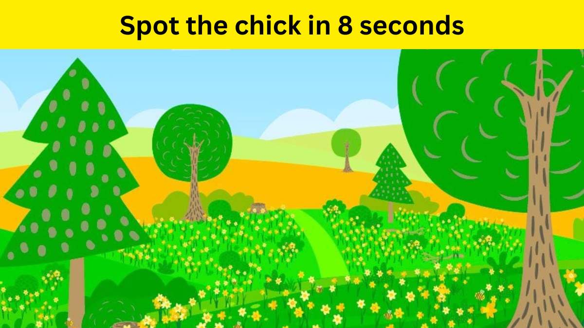 Seek and Find: Only 2% of people can spot the chick in the park within ...