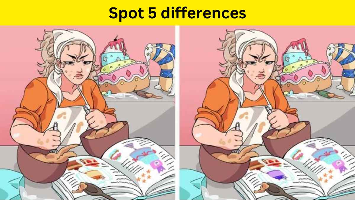 only-keen-observers-can-spot-5-differences-in-the-baking-picture-within