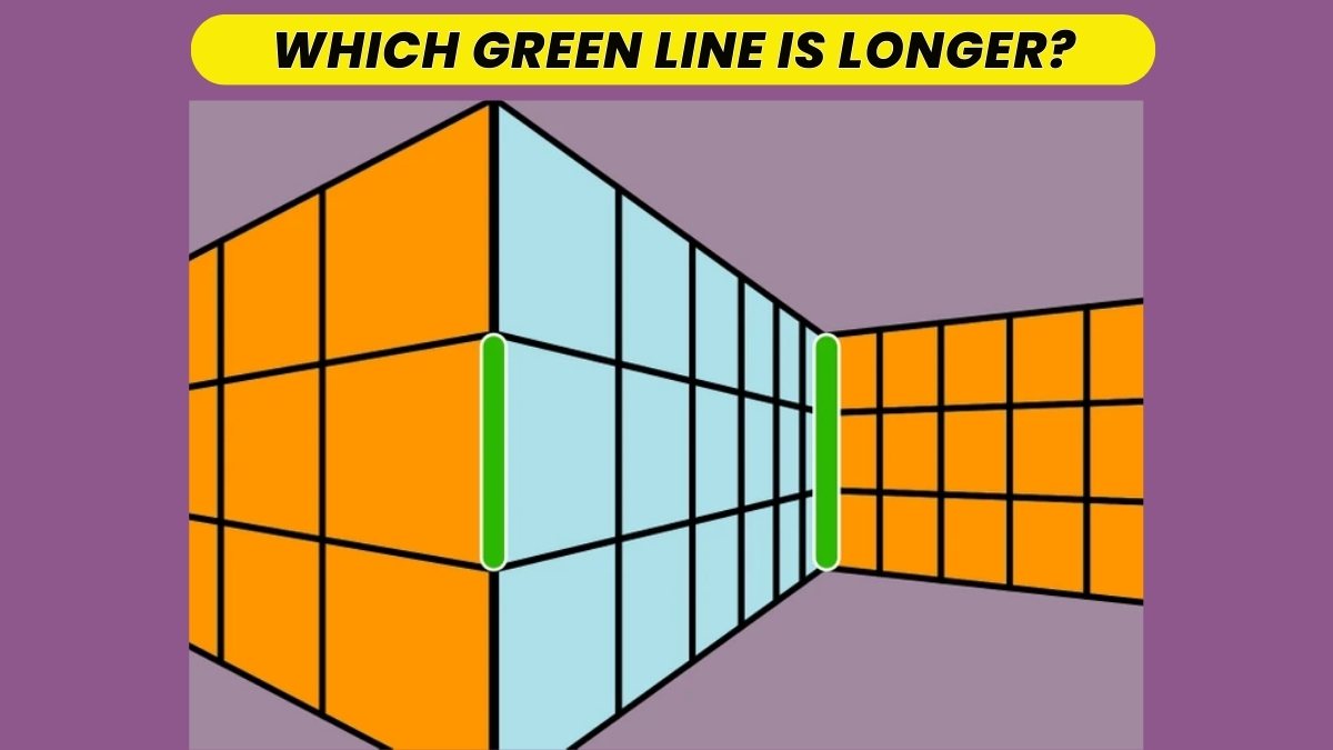Optical Illusion: Only 2% of People Can Tell Which Green Line Is Longer In  5 Seconds