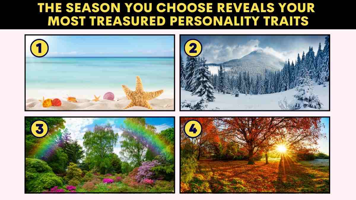 Personality Test The Season You Choose Reveals Your Most