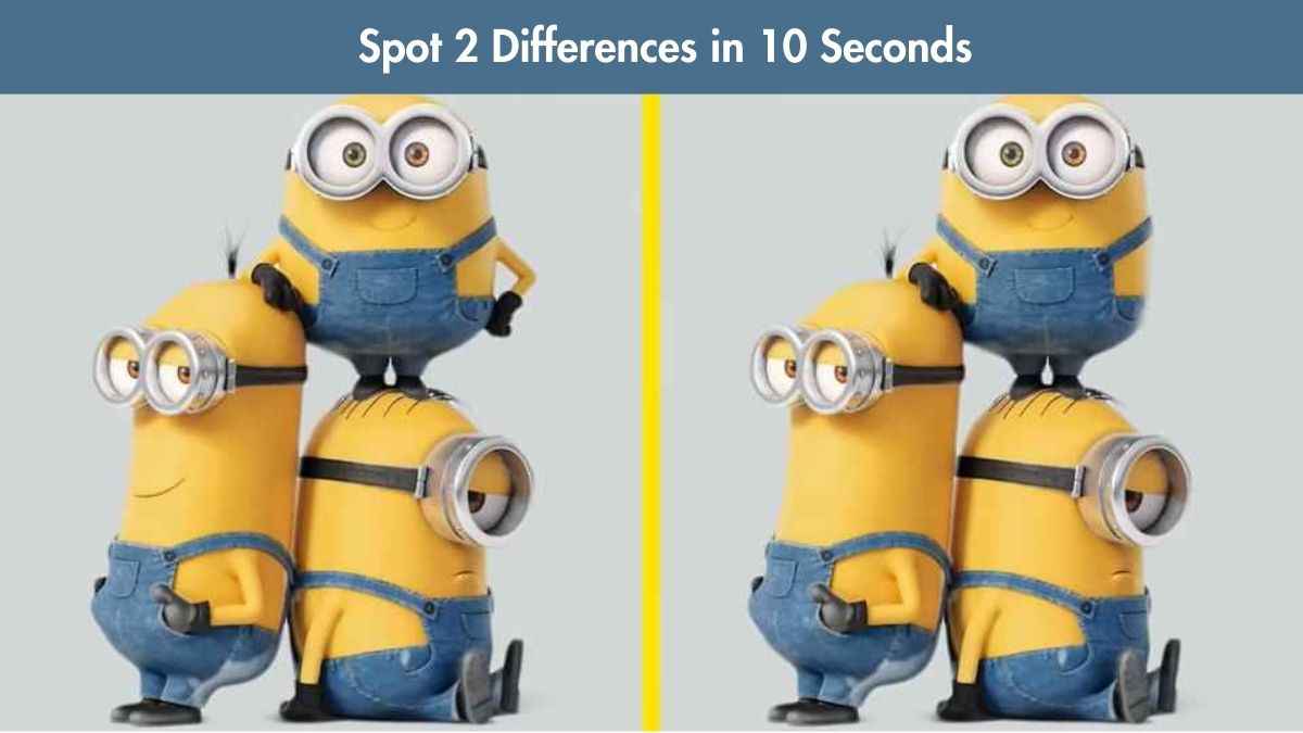 Spot the Difference: Can you spot 2 differences between the two ...