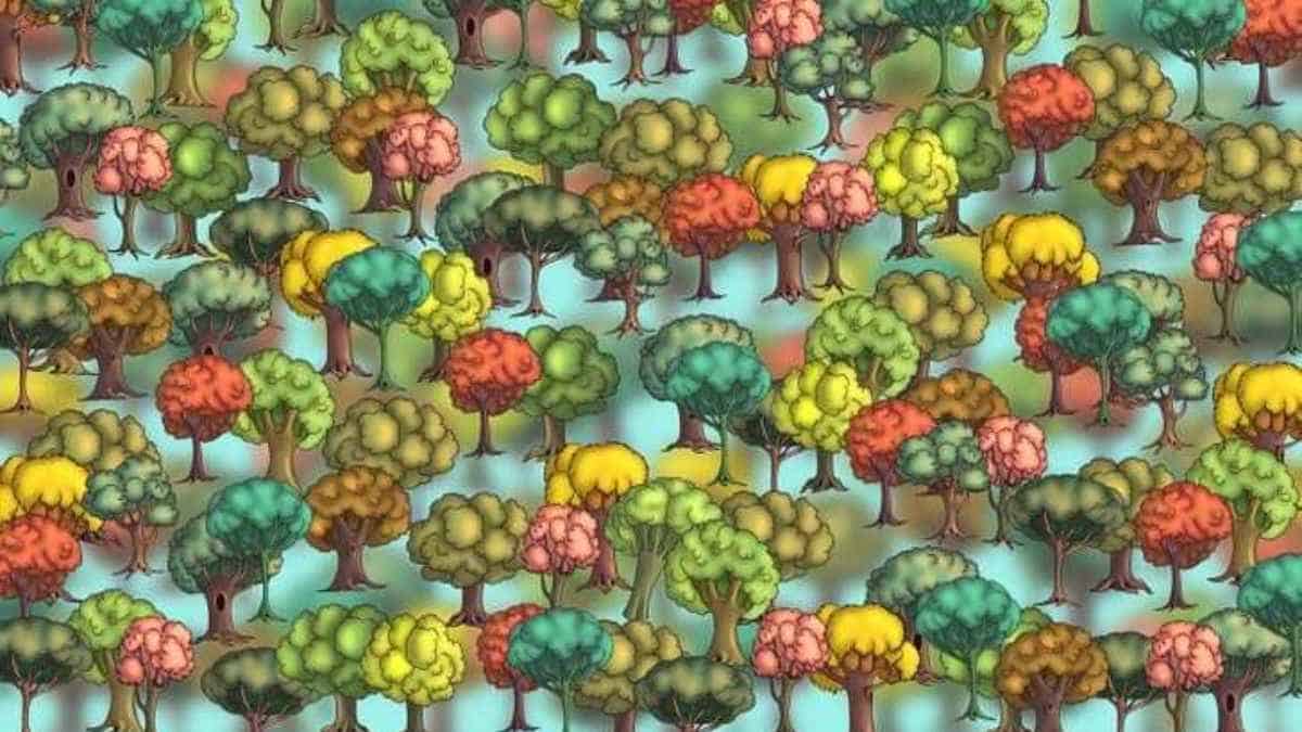 Seek and Find: Can you find broccoli hiding among the trees in 6 seconds?