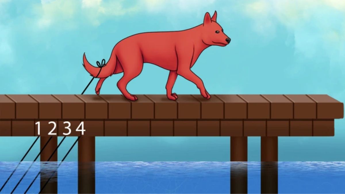 Puzzle to Test Your IQ: Only Sharp Brains can spot which Rope is tied to the Dog's Tail in picture within 7 secs!