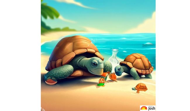 Turtles enjoying beach vacation