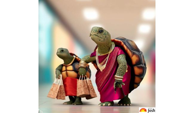 turtle out for shopping