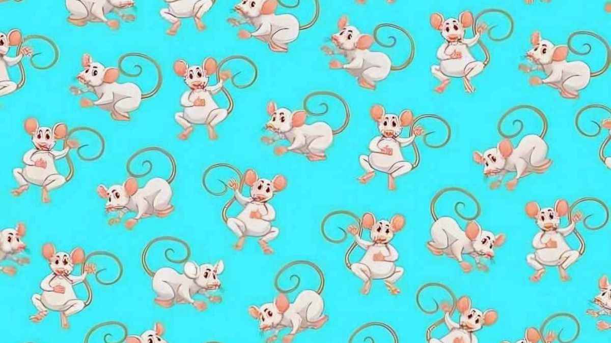 Seek and Find: Can you find the mouse with white ears in 5 seconds?