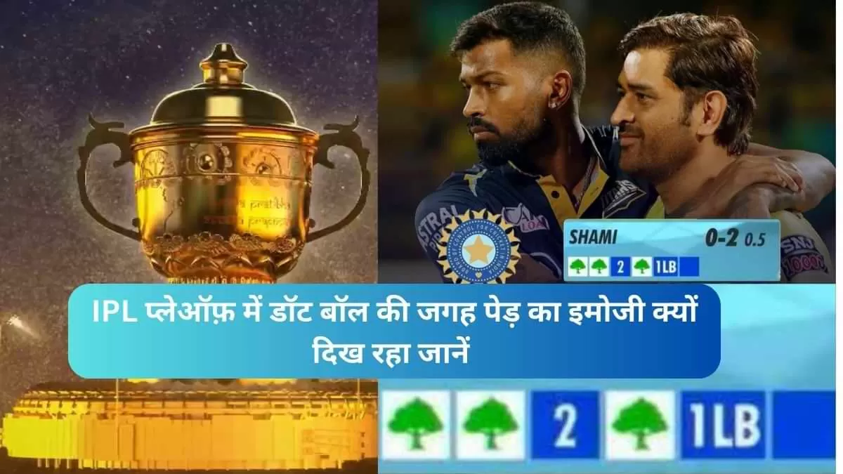 IPL प्लेऑफ़ के मैचों में डॉट बॉल की जगह पेड़ का इमोजी क्यों दिख रहा है जानें  