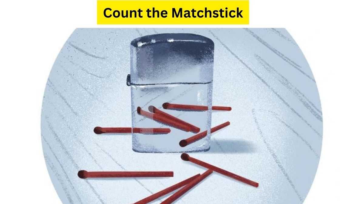 Picture Puzzle: Only A True Puzzle Champion Can Count The Right Number Of Matchsticks Within 21 Seconds. Try Your Skills!