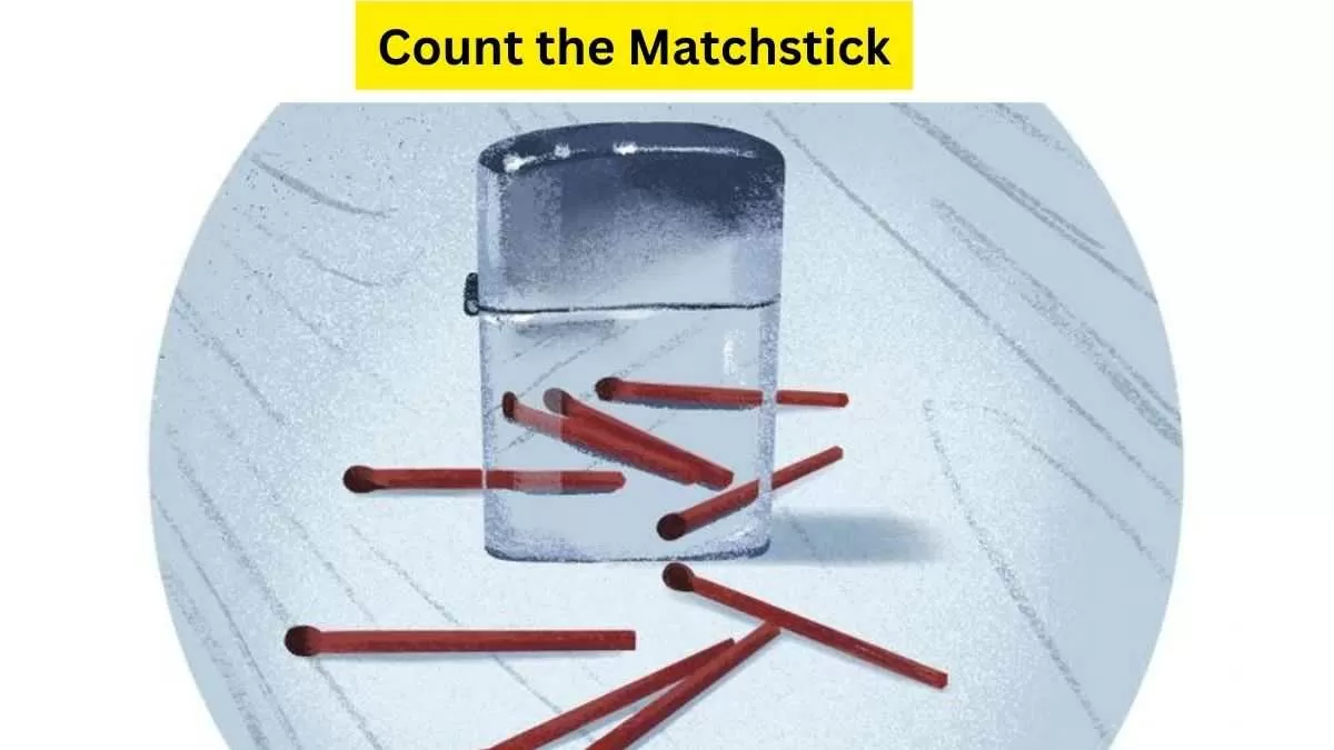 How many matchsticks do you see here?
