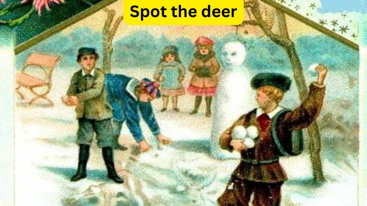 Visual Test: Only 2% of attentive people can spot the deer hidden in this snowy picture within 9 seconds!