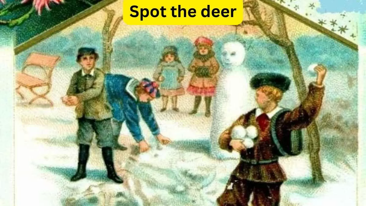Visual Test: Spot the deer in 9 seconds