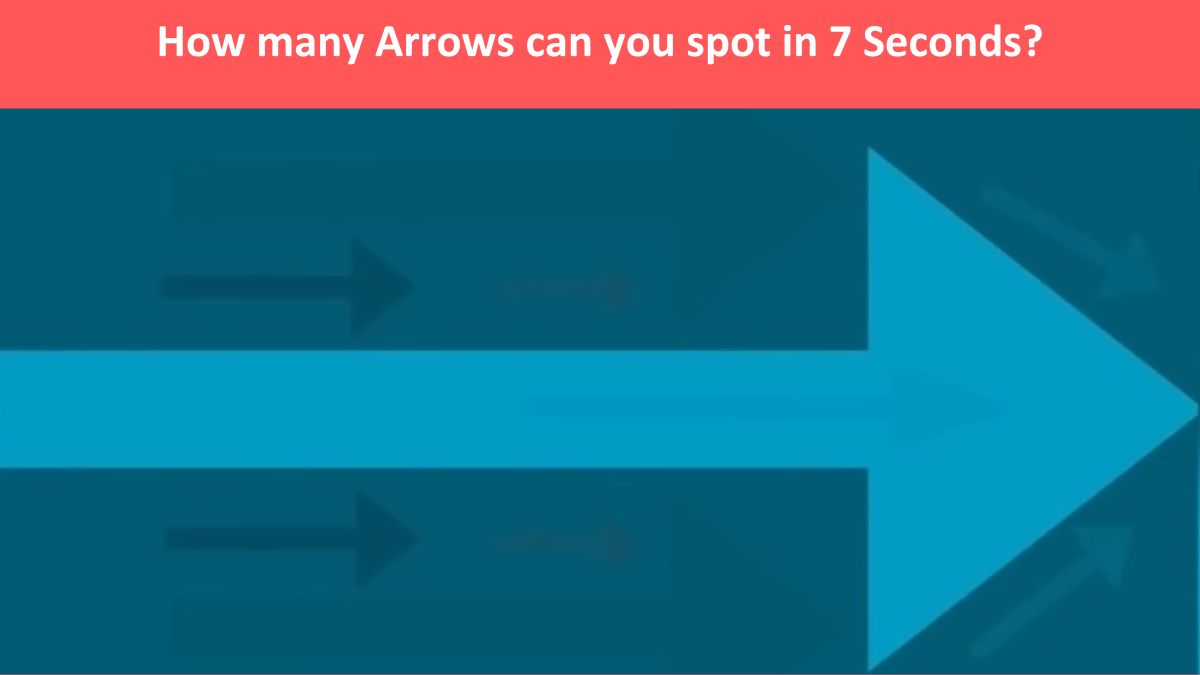 Optical Illusion: How many arrows can you spot in 7 seconds?