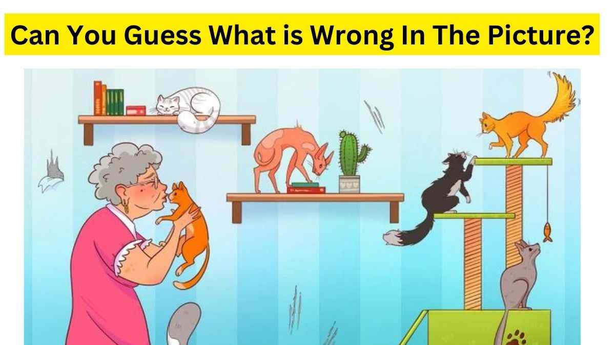 mama-luna-got-a-new-cat-can-you-find-what-is-wrong-in-the-brain-teaser