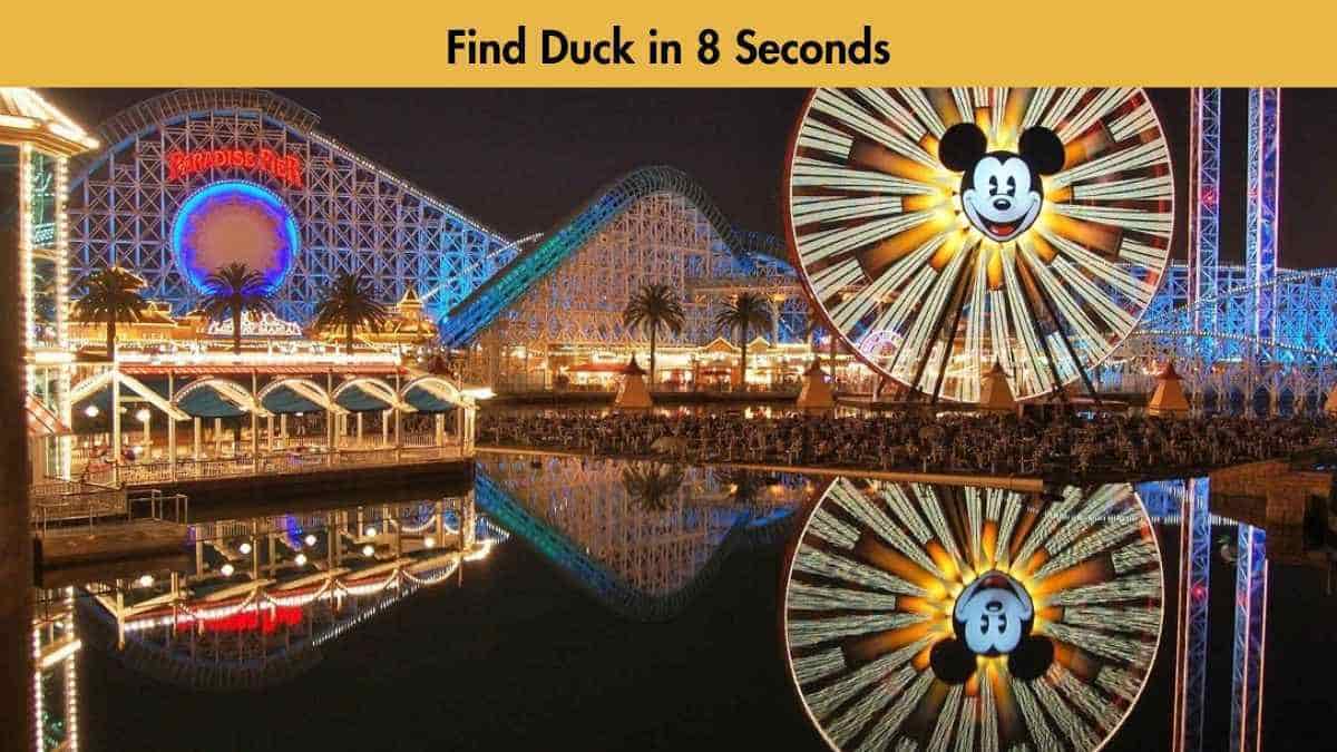 Optical Illusion: Only 3% people can spot a duck hidden in the resort in 8 seconds. Can you? 