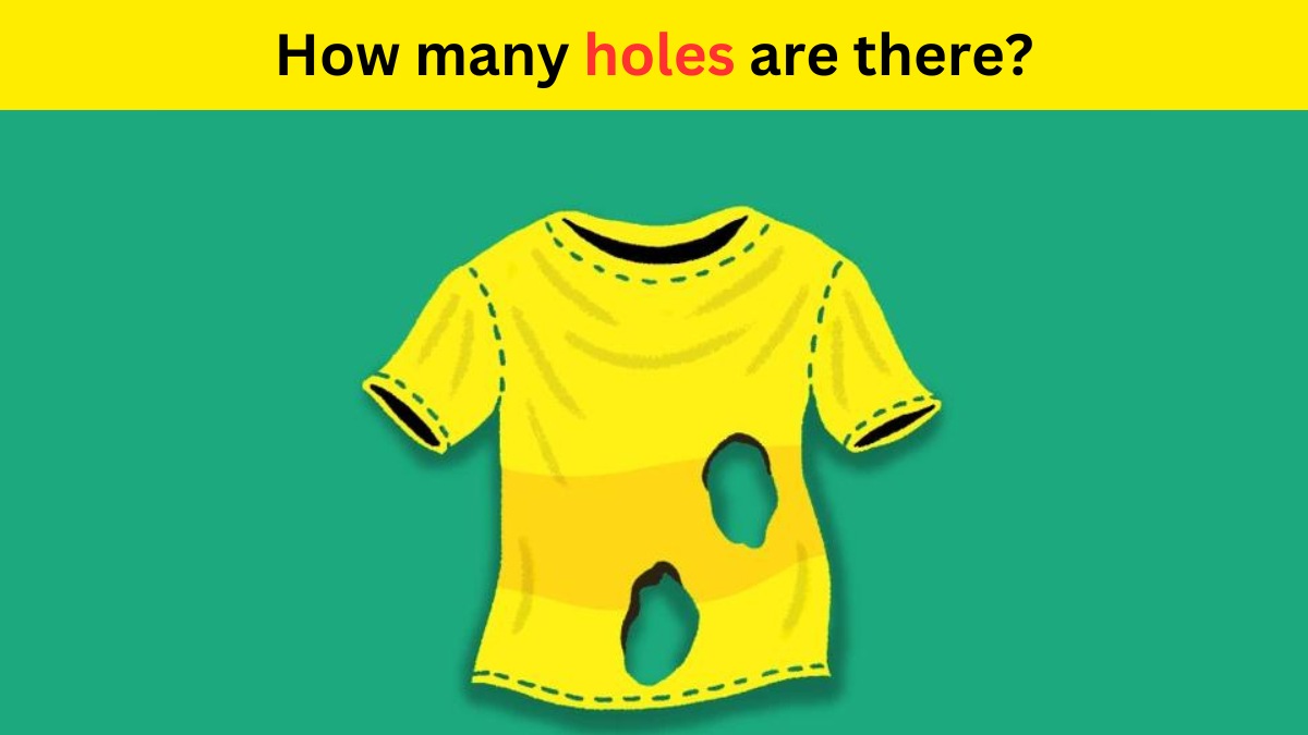Only true geniuses can find how many holes are in the T-shirt within 9 ...