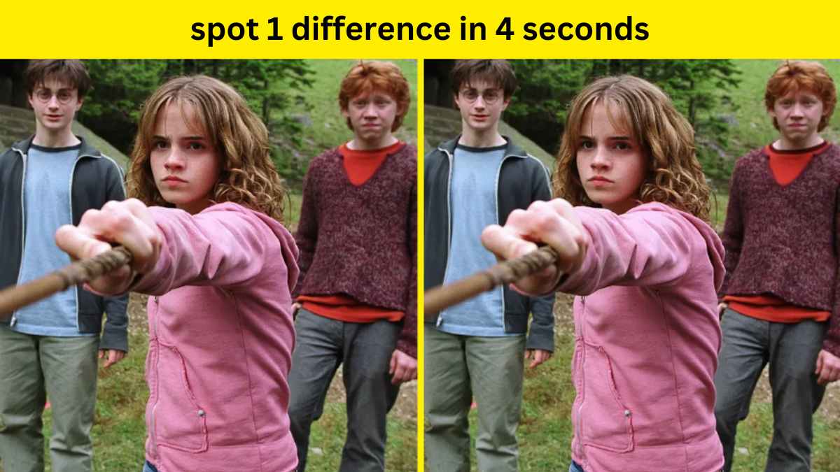Spot the difference- Spot 1 difference in 4 seconds