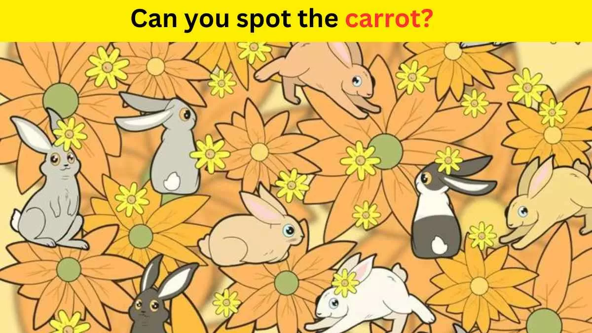 Visual Test- Spot the carrot in 5 seconds