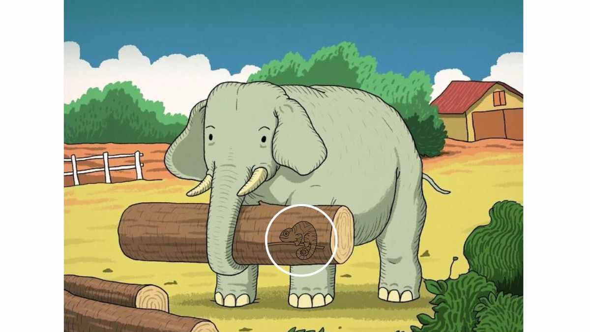 the second animal is a chameleon