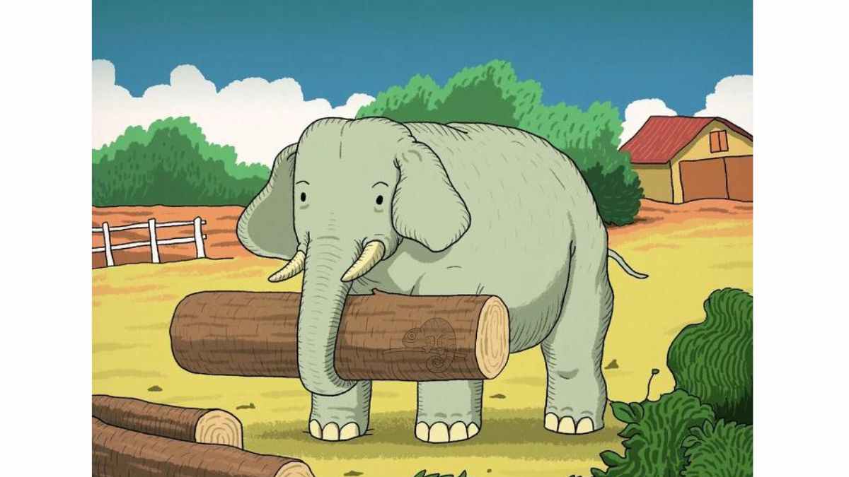 where is the second animal?