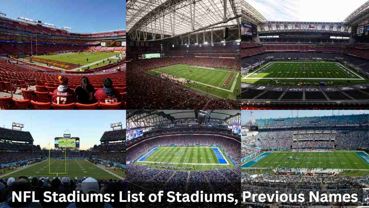 What is NFL's Arizona Cardinals stadium capacity and is the field grass or  artificial turf?