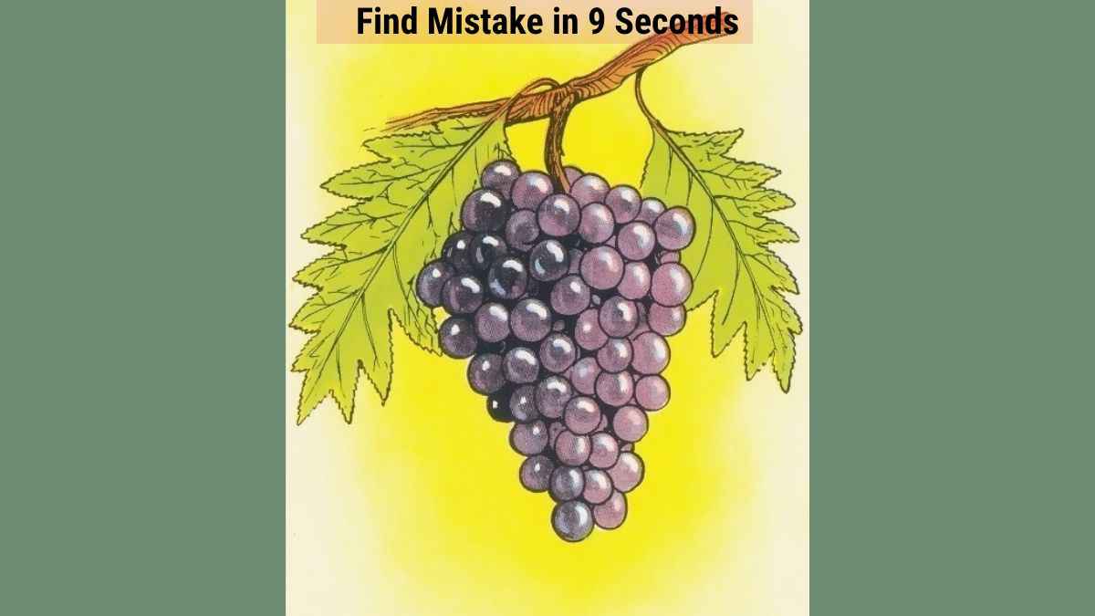 Find the Mistake: Only the most brilliant minds can find the mistake in the black grape picture in 9 seconds!