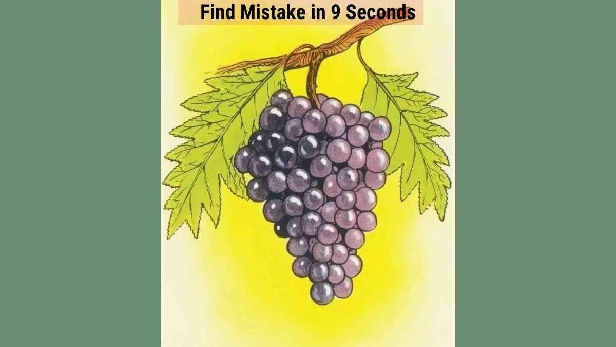 Find the Mistake in the Grape Picture in 9 Seconds