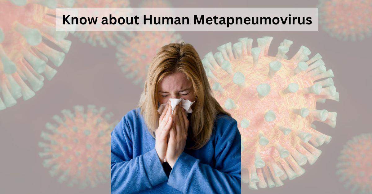 What is Human Metapneumovirus