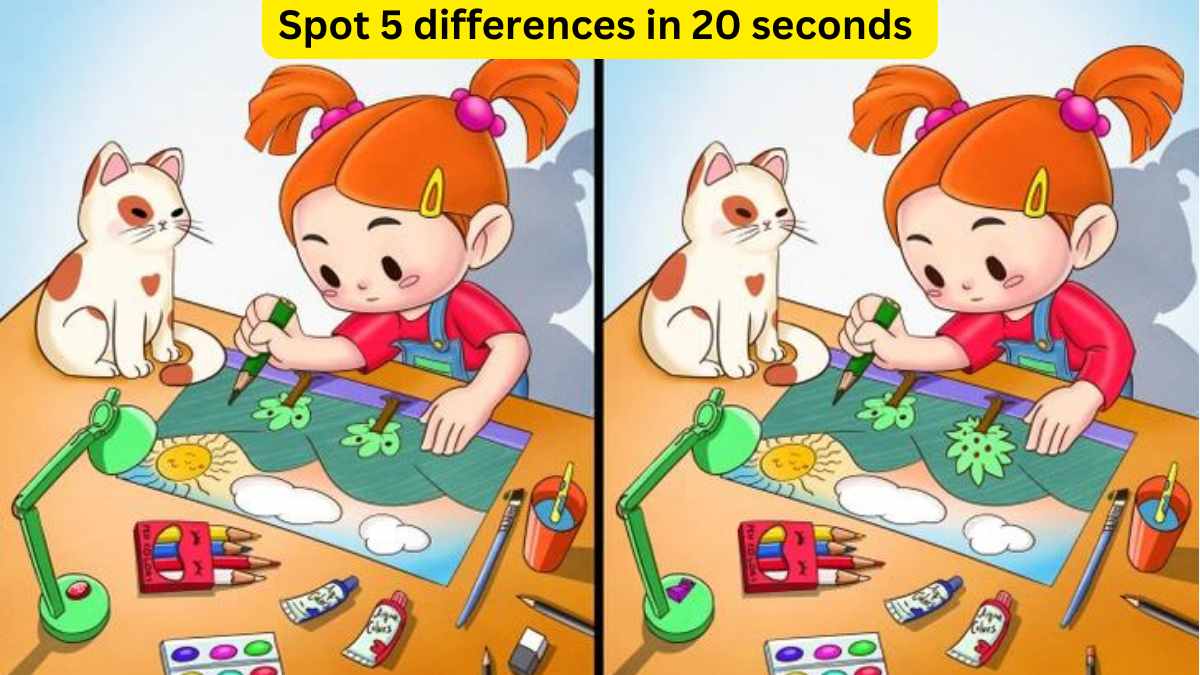 78 Best Find Differences Images Hidden Pictures Spot - vrogue.co