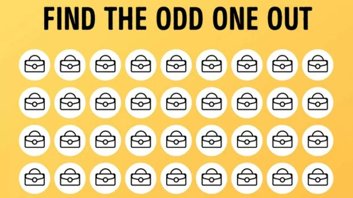 Can you spot the Odd Briefcase hidden in picture within 7 secs?