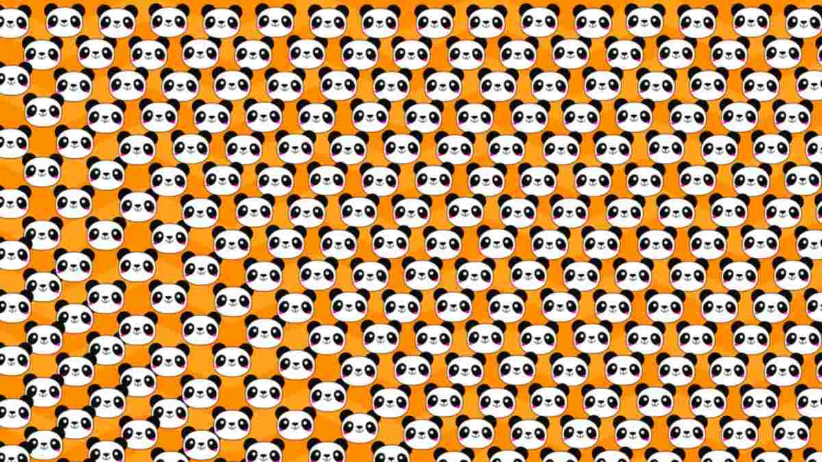 Optical Illusion: Only those with sharp eyesight can see the hidden panda -  Times of India