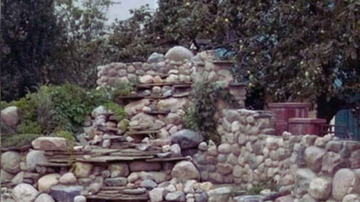 Optical Illusion: Finding the hidden cat in this image is a difficult task. Can you spot the hidden cat?