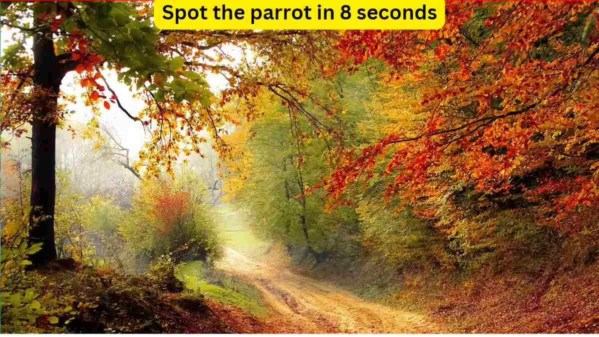 Optical Illusion- Spot the parrot in 8 seconds