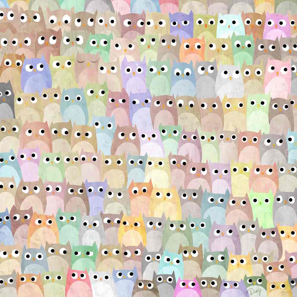 Spot The Hidden Cat Among the Owls in 19 Seconds