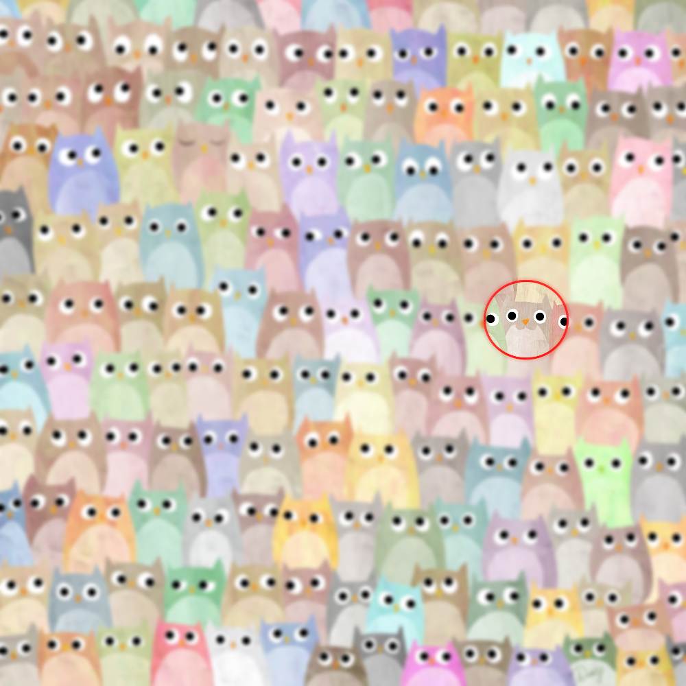 Optical Illusion Test Spot The Cat Hidden Among The Owls in 19 Seconds?