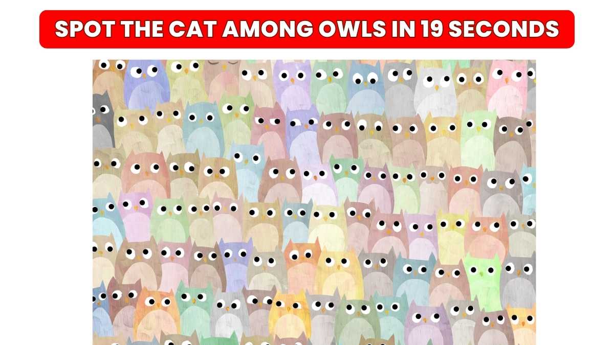 Optical Illusion: Only an Eagle-Eyed Individual Can Spot A Cat Hidden Among The Owls In 19 Seconds?