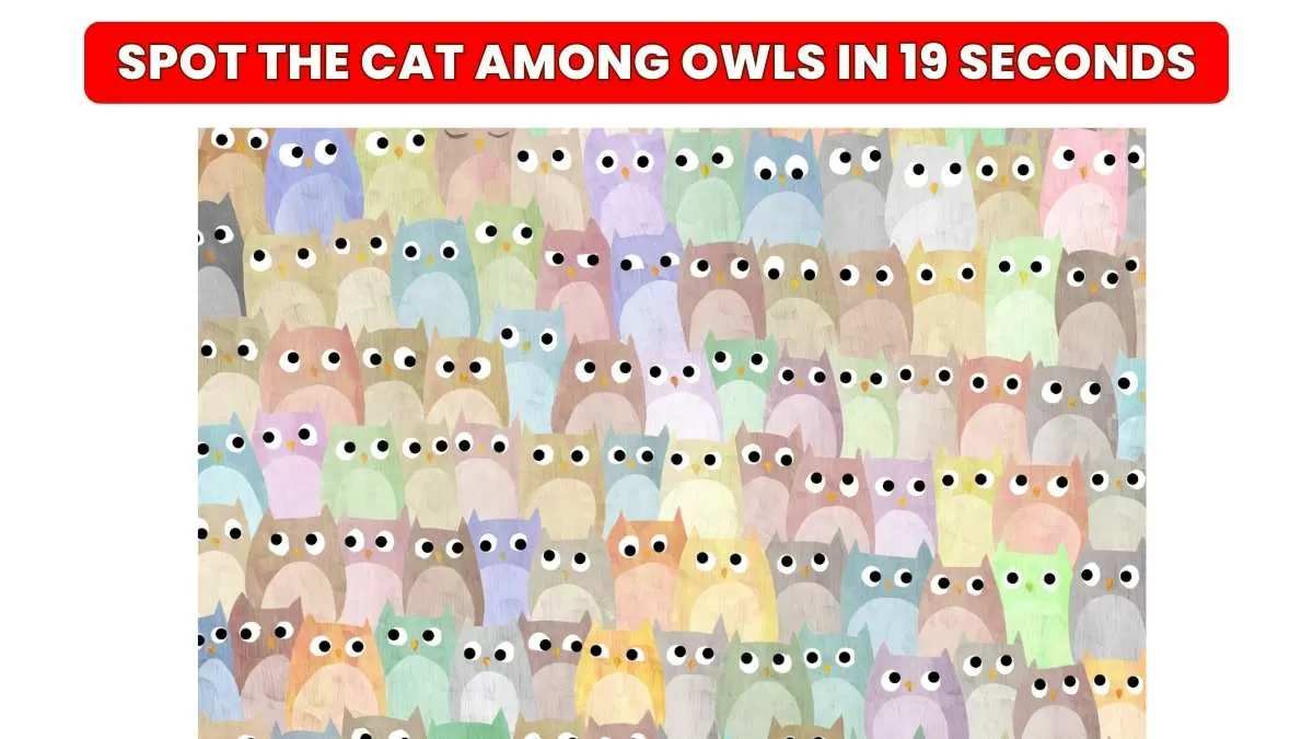 Observation Brain Test: If you have Hawk Eyes Find the Number 4 in 10 Secs  - News