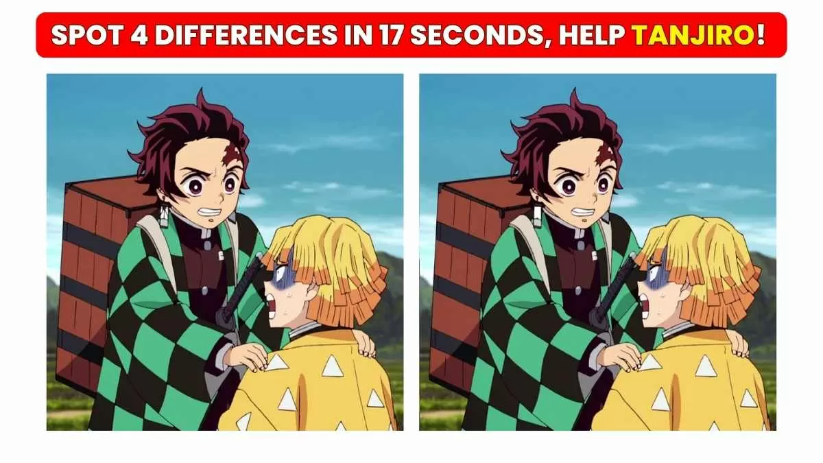 Can You Spot 4 Differences In The Demon Slayer Images In 17 Seconds?