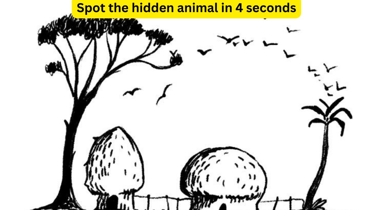 You have hawk eyes if you can spot the hidden animal in the village within 4 seconds!