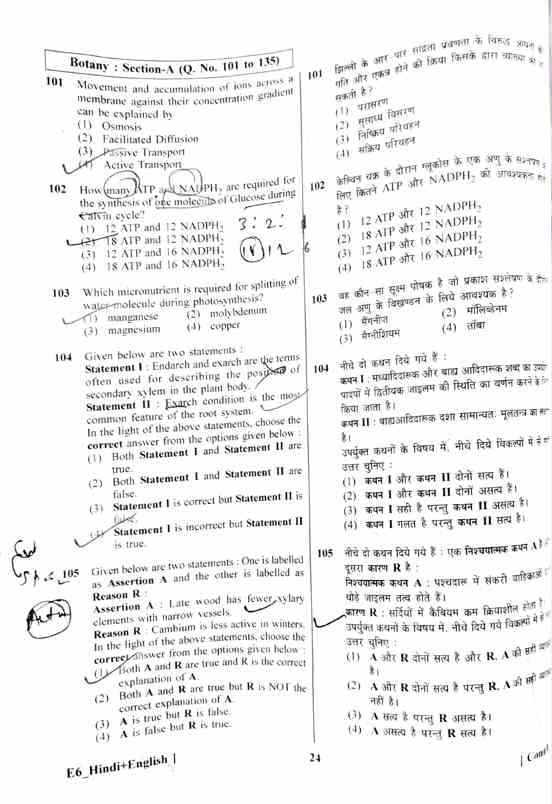 Neet Sample Paper By Vedantu Exampless Papers