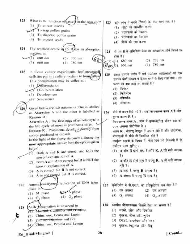 Neet 2023 Question Paper (available): Download Neet Ug Paper Pdf Set-wise