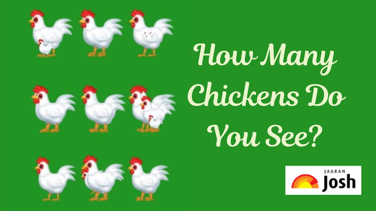 brain-teaser-to-test-your-iq-how-many-chickens-do-you-see-in-the