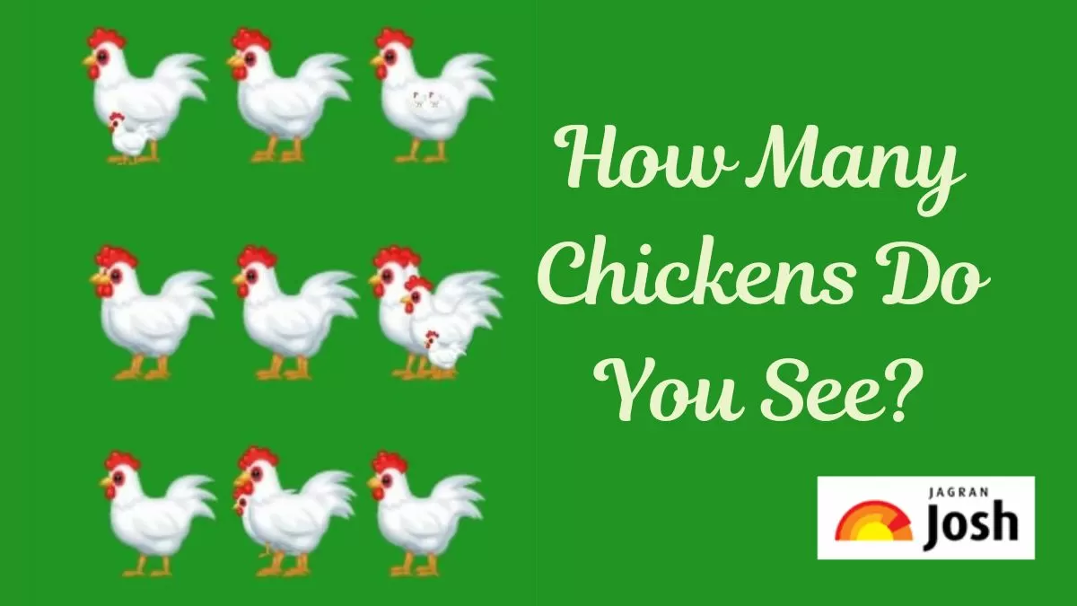 Brain Teaser to Test Your IQ: How many chickens do you see in the picture  within 15 secs?